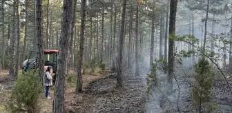 Kütahya'da Yıldırım Kaynaklı Orman Yangınları Söndürüldü