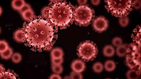 Marburg virüsü nedir, belirtileri neler, nasıl bulaşır? Marburg virüsü Türkiye'de görüldü mü?