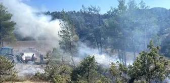 Bolu'da Orman Yangını Kontrol Altına Alındı