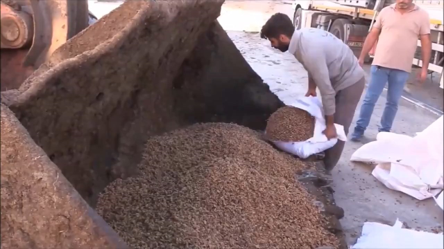 79 tons of walnut kernels brought from Syria to Turkey were destroyed