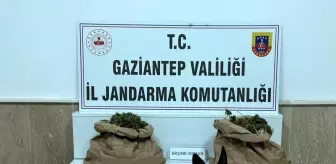 Uyuşturucu tacirine jandarma baskını