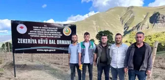 Artvin'in Zekeriya Köyünde Değerli Bal Üretimi Artıyor