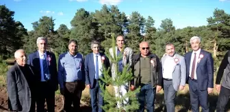 Kars'ta Sarıkamış ve Çanakkale şehitleri anısına hatıra ormanı oluşturuldu