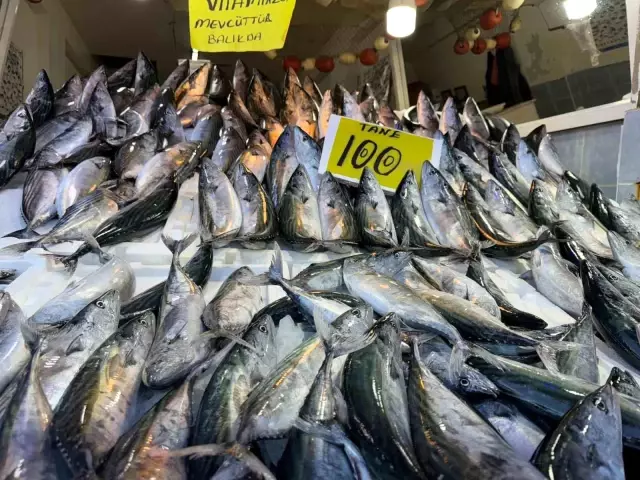 The price of anchovies has surpassed that of mackerel: The pearl of the Black Sea is being sold for 200 TL.