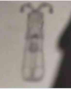 Semih Çelik defterine ne çizdi, Semih Çelik cinayet planı ne?