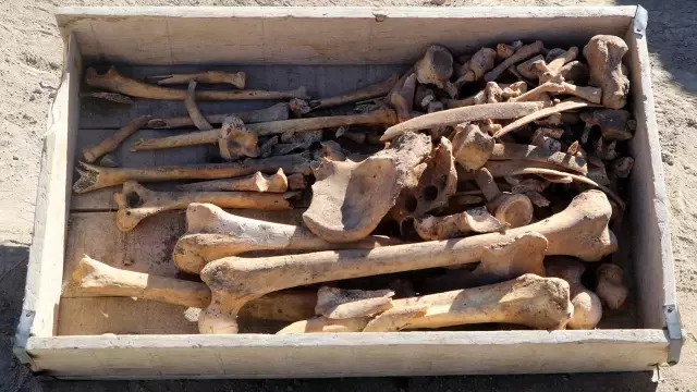 A 5,000-year-old skeleton was found during excavation work in Burdur.