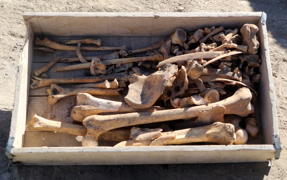 5 Bin Yıllık İskelet Hacılar Büyük Höyük'te Bulundu