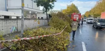 Avcılar'da Şiddetli Yağış ve Fırtına Hayatı Olumsuz Etkiledi