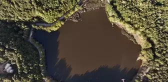 Düzce Korugöl Tabiat Parkı'nın Sonbahar Güzelliği