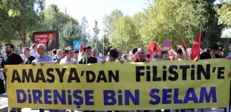 Samsun, Çankırı, Amasya ve Sinop'ta Filistin'e destek yürüyüşleri düzenlendi