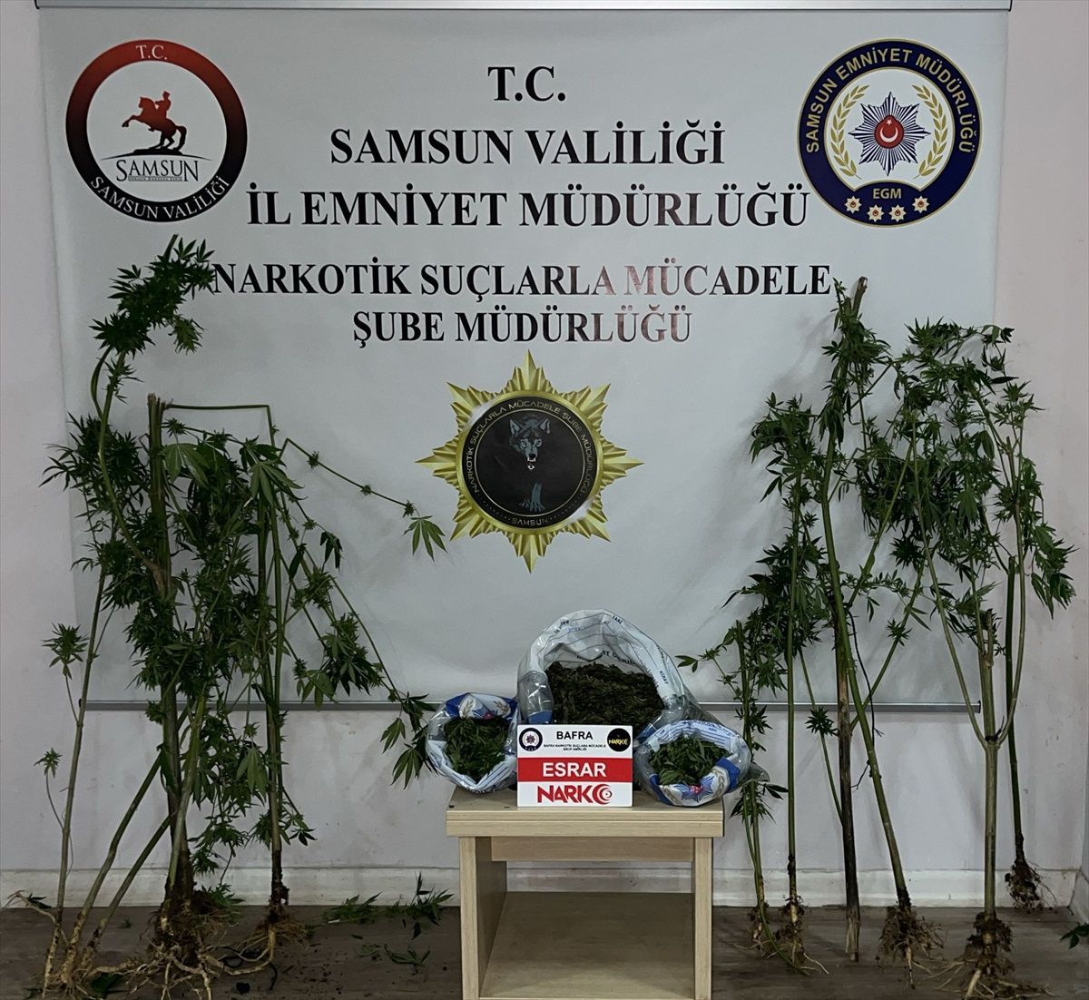 Bafra'da Narkotik Operasyonu: İki Zanlı Gözaltında