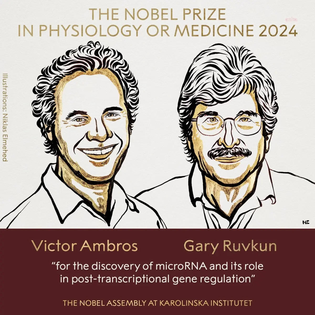2024 Nobel Tıp Ödülü MikroRNA Keşiflerine Verildi