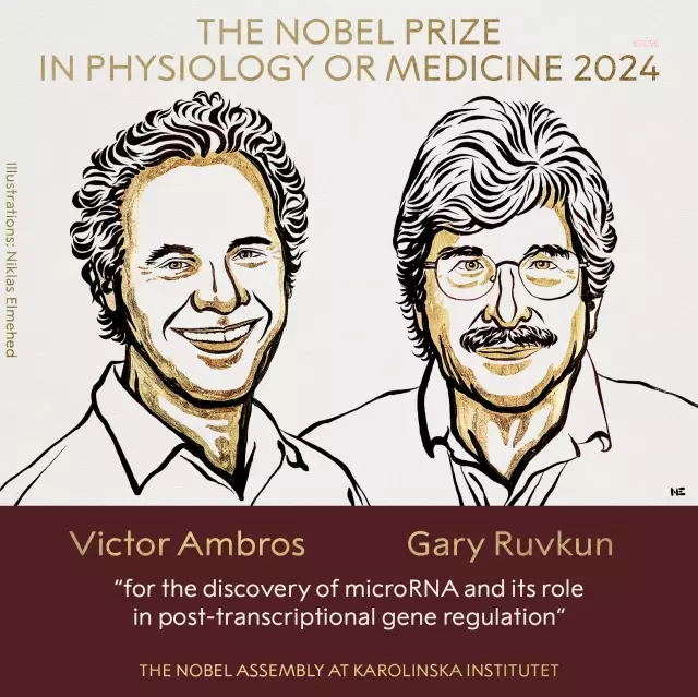 2024 Nobel Prize in Physiology or Medicine winners announced