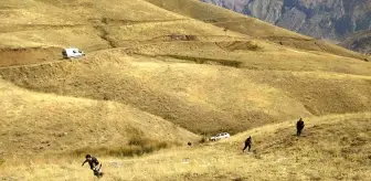 Hakkari'de Araç Şarampole Yuvarlandı, 1 Yaralı