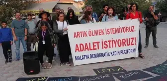 Kadın Cinayetleri Gündemde: Malatya Demokratik Kadın Platformu Sağlık Emekçileri Sendikası'ndan Sert Açıklama