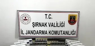 Şırnak'ta Kaçakçılık Operasyonu: 17 Şüpheli Gözaltına Alındı