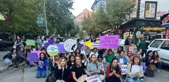 Tunceli'de Kadın Cinayetlerine Tepki Yürüyüşü