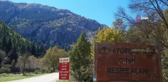 Aygırdibi Mesire Alanı Son Misafirlerini Ağırlıyor