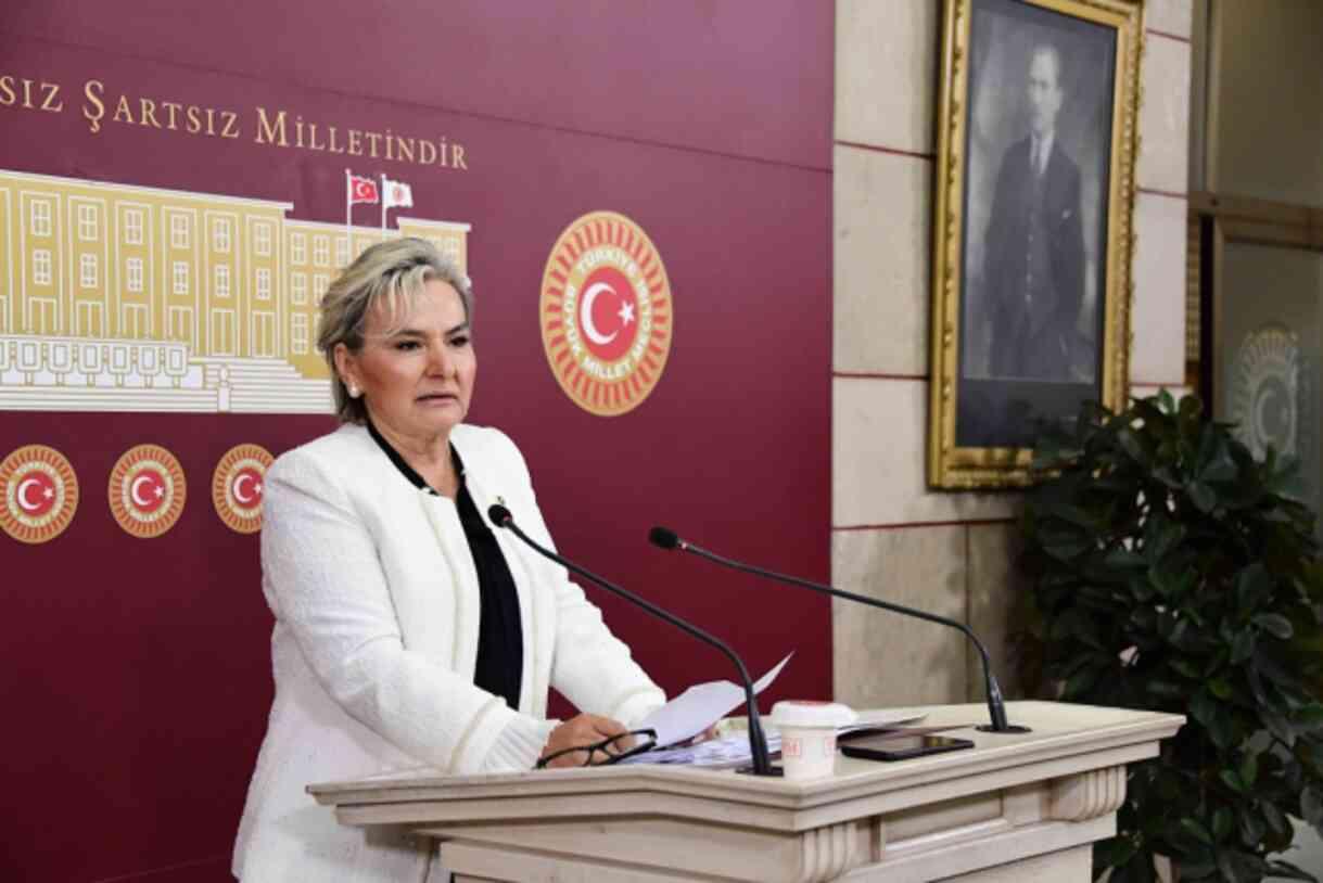 Nimet Özdemir kimdir, kaç yaşında ve nereli? Nimet Özdemir hangi partiye geçti?