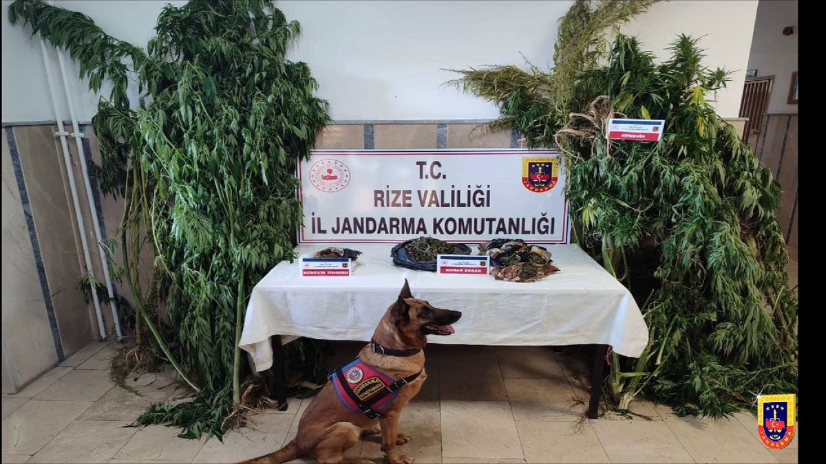 Rize'de 198 Uyuşturucu Operasyonu: 223 Gözaltı, 13 Tutuklama