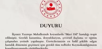 Adana'da Mavi Dil Hastalığı Nedeniyle Karantina