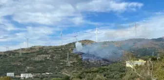 Balıkesir'in Erdek ilçesinde orman yangını 2 saatte kontrol altına alındı