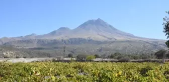 Kapadokya Üzümleri, Avrupa Sofralarına Ulaşacak