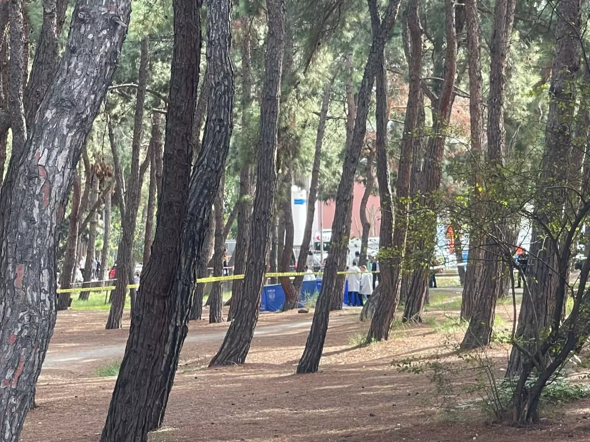 Bakırköy Ruh Hastanesinde İkili Trajedi: Eşini Öldürüp İntihar Etti