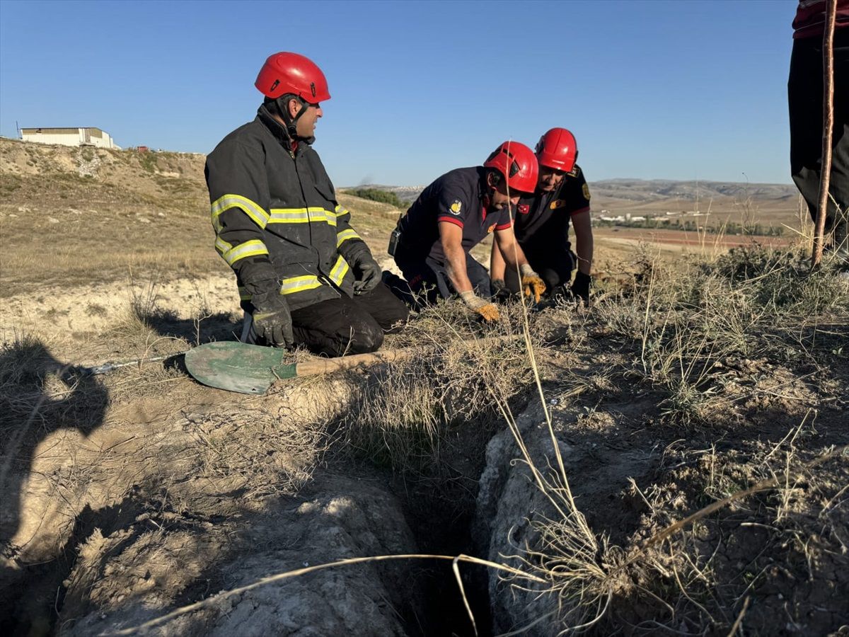 Çorum'da Mahsur Kalan Köpek Yavruları İtfaiye Ekiplerince Kurtarıldı