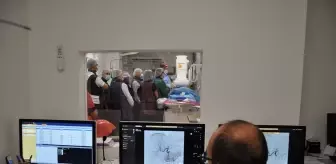 ESOGÜ Tıp Fakültesi, Iraklı Hekimlere Girişimsel Radyoloji Eğitimi Verdi