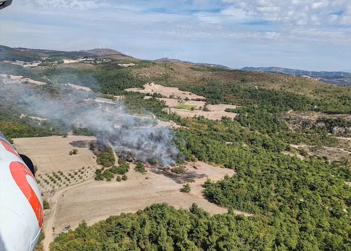 Manisa'da Tarım Arazisinde Başlayan Yangın Ormanlık Alana Sıçradı