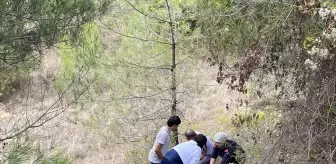 Taraklı'da Motosiklet Şarampole Devrildi: Sürücü Hastaneye Kaldırıldı