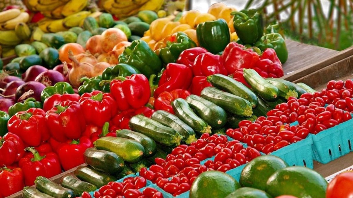 Tarım sektörü, Ocak-Eylül döneminde 26,1 milyar dolar ihracat rekoru kırdı