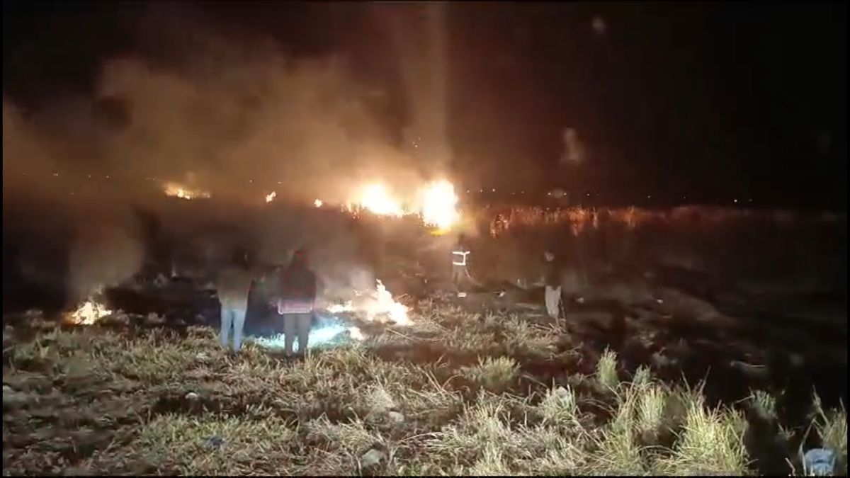 Hakkari'de Nehil Sazlığı'nda Yangın Çıktı
