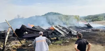 Çanakkale'de Samanlıkta Yangın: Bin Balya Saman Zarar Gördü