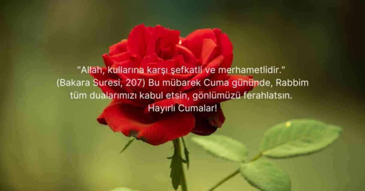 CUMA MESAJLARI | En güzel, anlamlı, kısa, ayetli, dualı ve hadisli cuma mesajları