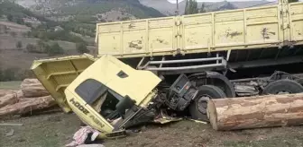 Giresun'da Tomruk Yüklü Kamyon Devrildi