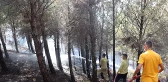 Antakya'da Orman Yangını Kontrol Altına Alındı