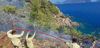 Mersin Gülnar'daki Orman Yangını Kontrol Altına Alındı