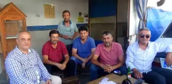 Osmaniye'de Esnafın Yardımıyla Yaralı Kedi Tedavi Edildi