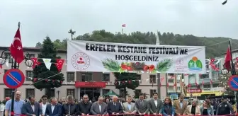 Sinop'un Erfelek İlçesinde Kestane Festivali Düzenlendi