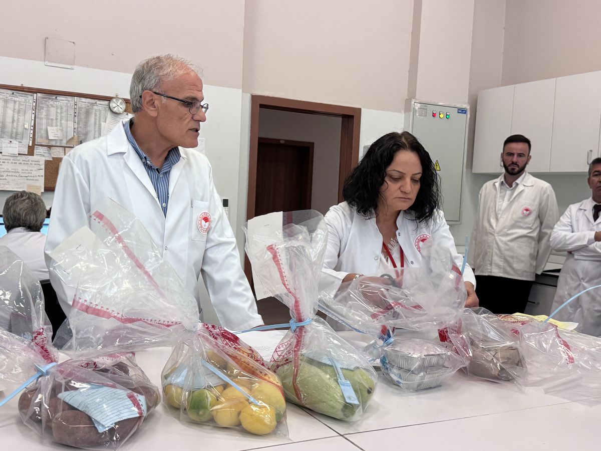 Ankara Gıda Kontrol Laboratuvarı'nda Gıda Analiz Sürecine Detaylı Bakış