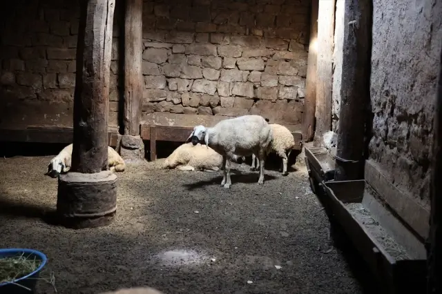 Köyde ilk kez böyle bir olay yaşanıyor! 40 yıllık birikimi bir gecede gitti