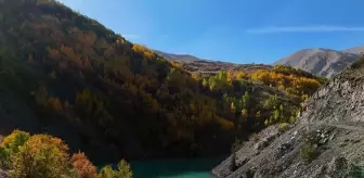 Kop Dağı'nda Sonbahar Renk Cümbüşü