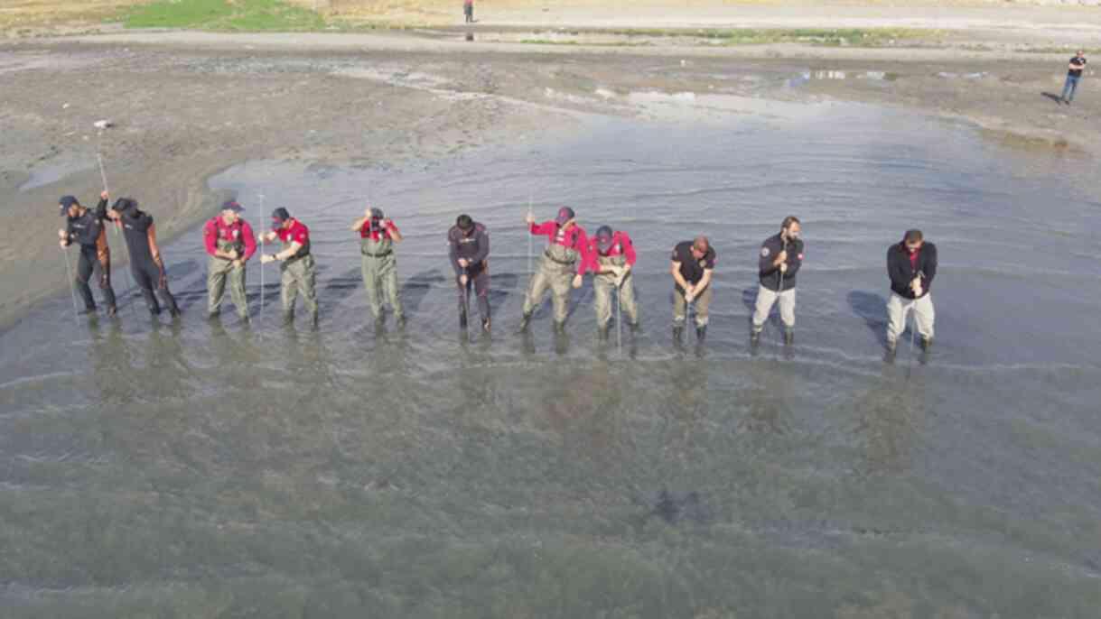 Rojin Kabaiş neden öldü, kim öldürdü?