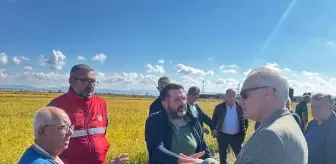 Çanakkale Biga'da Dolu Yağışı Sonrası Tarım Arazilerinde Büyük Zarar