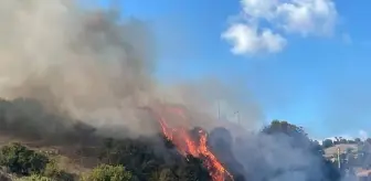 Çanakkale'de Tarım Arazisinde Yangın Çıktı