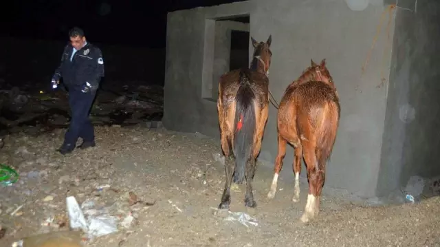 The two provinces where food terrorists most commonly fed citizens horse and donkey meat.