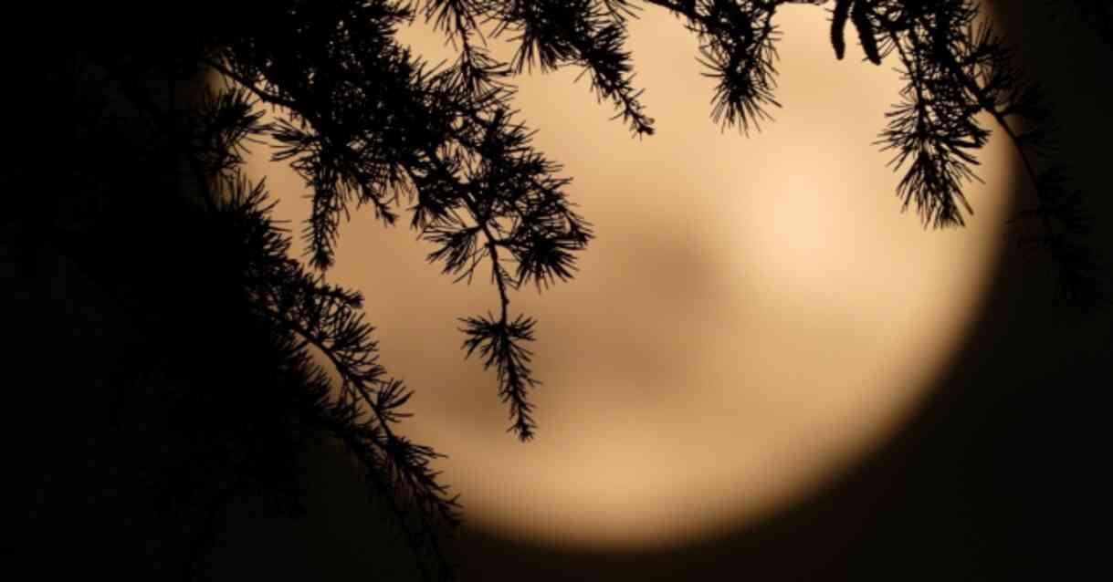 DOLUNAY SAAT KAÇTA? Koç Dolunay'ının burçlara etkileri neler? DOLUNAY SAAT KAÇTA? Koç Dolunay'ının burçlara etkileri neler?