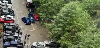 Hopa'da Yamaçtan Düşen Kaya Parçaları Araçlara Zarar Verdi